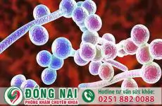 da khoa hong phuc