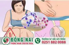 da khoa hong phuc