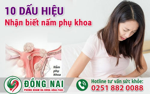10 Dấu Hiệu Nhận Biết Bệnh Nấm Phụ Khoa Ở Nữ Giới