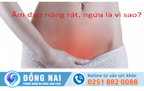 Âm đạo nóng rát, ngứa