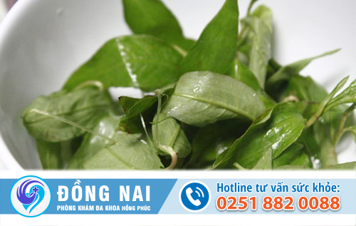 Ăn rau răm phá thai được không?