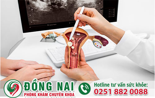 Bệnh Viện Phụ Sản Uy Tín Chính Quy Tại Biên Hòa Đồng Nai