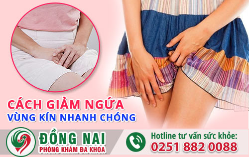 Cách giảm ngứa vùng kín nhanh chóng ở nữ giới