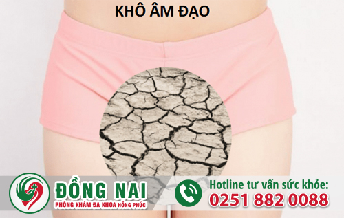 Có nhiều nguyên nhân gây ra tình trạng khô âm đạo