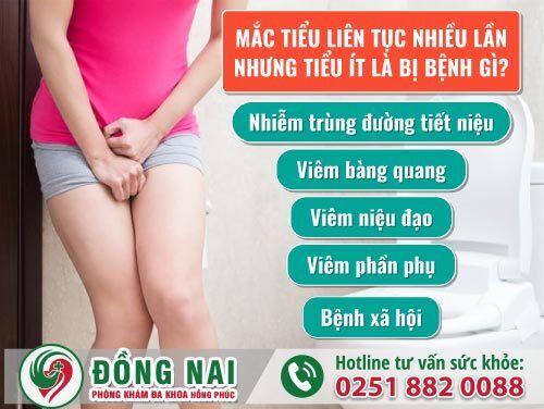 Dấu hiệu nhận biết trùng roi âm đạo và cách điều trị hiệu quả