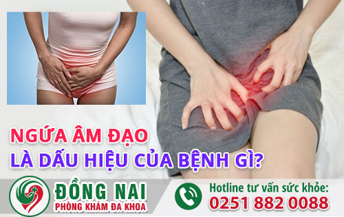 Ngứa âm đạo do nhiều bệnh lý nguy hiểm gây nên và là nguyên nhân hàng đầu gây vô sinh ở nữ giới