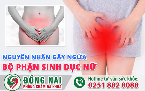 Ngứa bộ phận sinh dục nữ - nguyên nhân, cách điều trị