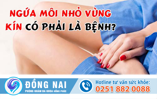 Ngứa môi nhỏ vùng kín có phải dấu hiệu cảnh báo bệnh?
