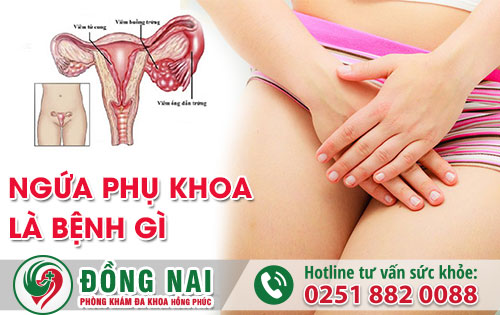 Ngứa phụ khoa ở nữ giới có thể do các bệnh phụ khoa gây ra