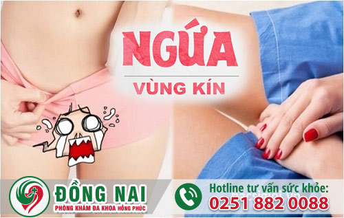Ngứa vùng kín là nỗi hoang mang của hầu hết chị em phụ nữ