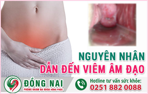 Nguyên Nhân Dẫn Đến Viêm Âm Đạo Ở Nữ Giới