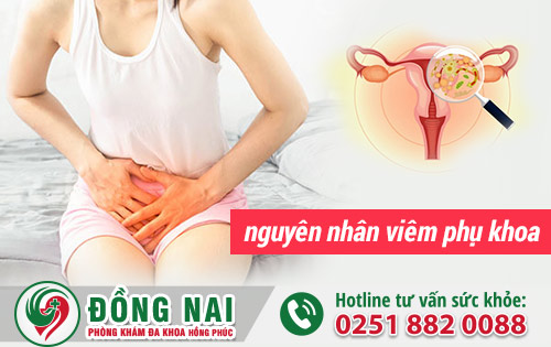 Nguyên Nhân Viêm Phụ Khoa Ở Phụ Nữ Hiện Nay