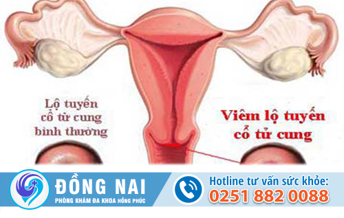 Phòng khám phụ khoa tư nhân số 1 uy tín