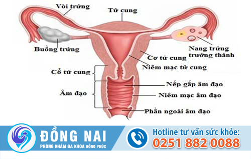 Phòng khám sản phụ khoa uy tín hàng đầu
