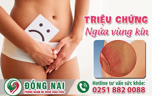 Tìm hiểu về triệu chứng ngứa vùng kín ở nữ giới