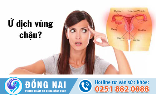 Ứ dịch vùng chậu