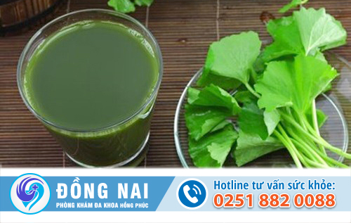 Thực hư uống rau má phá thai là như thế nào?