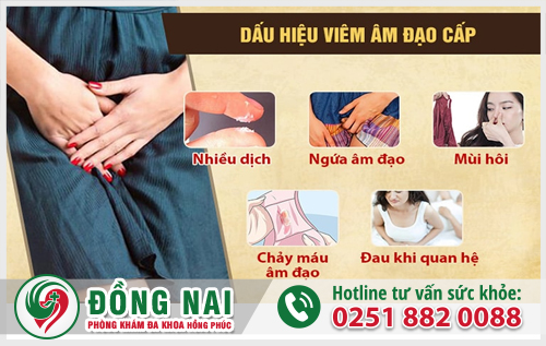 Hình ảnh viêm âm đạo cấp tính