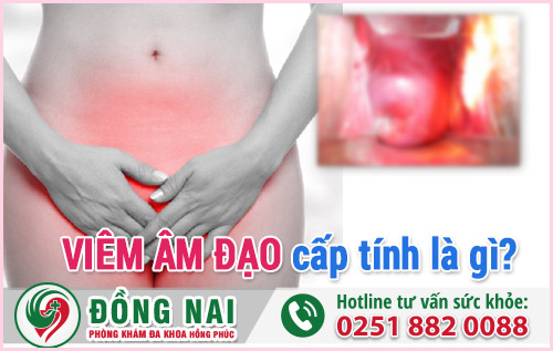 Viêm Âm Đạo Cấp Tính Là Gì?