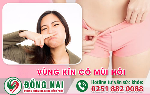 Vùng kín có mùi xuất phát từ các bệnh phụ khoa