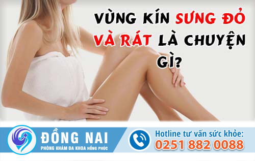 Vùng kín bị sưng đỏ và rát là chuyện gì?